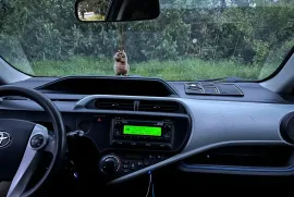 Toyota, Prius, Prius C