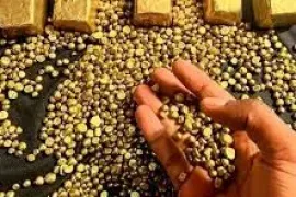 +256726063864 Gold for sale in USA, Europe, UAE & Worldw