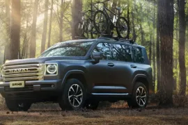 HAVAL, H9