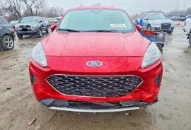 Ford, Escape