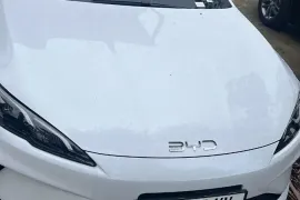 BYD, другой