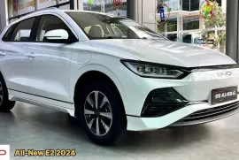 BYD, სხვა