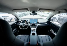 BYD, სხვა