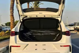 BYD, სხვა