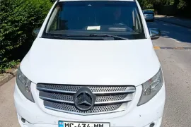 Mercedes-Benz, Metris