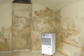 Автозапчасти, Другое
