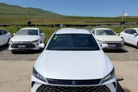 BYD, Qin