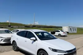 BYD, Qin