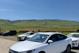 BYD, Qin