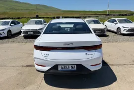 BYD, Qin