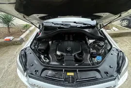 Mercedes-Benz, GL-Class, GL 450