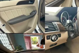 Mercedes-Benz, GL-Class, GL 450