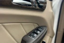 Mercedes-Benz, GL-Class, GL 450