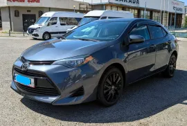 Toyota, Corolla