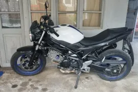 Suzuki, SV 650