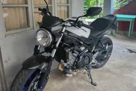 Suzuki, SV 650