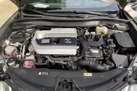 Lexus , UX series, UX250h