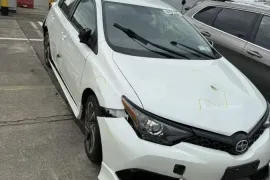 Scion, Other