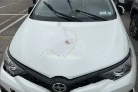 Scion, Other