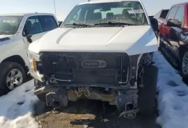 Ford, F150