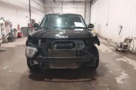 Kia, Soul