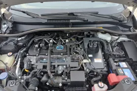 Toyota, C-HR