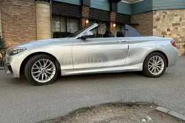 BMW, 2 Series, 228