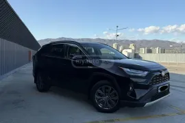 Toyota, RAV4