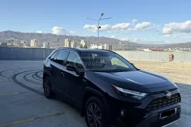 Toyota, RAV4