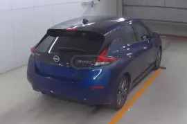 Nissan, Leaf