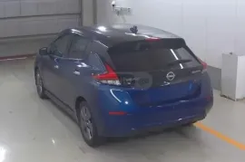Nissan, Leaf