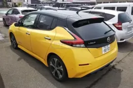 Nissan, Leaf