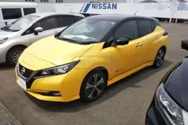Nissan, Leaf