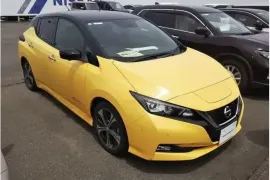 Nissan, Leaf