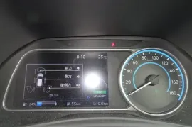Nissan, Leaf