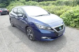 Nissan, Leaf