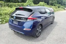 Nissan, Leaf