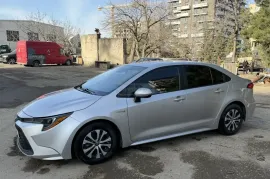 Toyota, Corolla