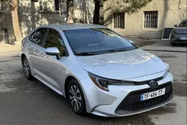 Toyota, Corolla