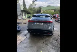 Nissan, სხვა