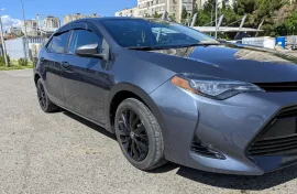 Toyota, Corolla