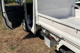 Suzuki, Carry