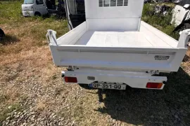 Suzuki, Carry