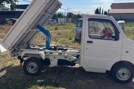 Suzuki, Carry