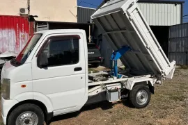 Suzuki, Carry