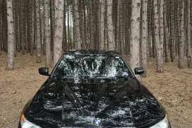 BMW, სხვა