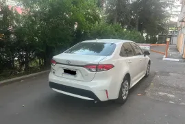 Toyota, Corolla