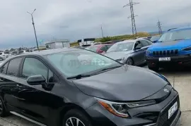 Toyota, Corolla