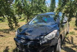 Hyundai, Other