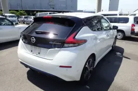 Nissan, Leaf